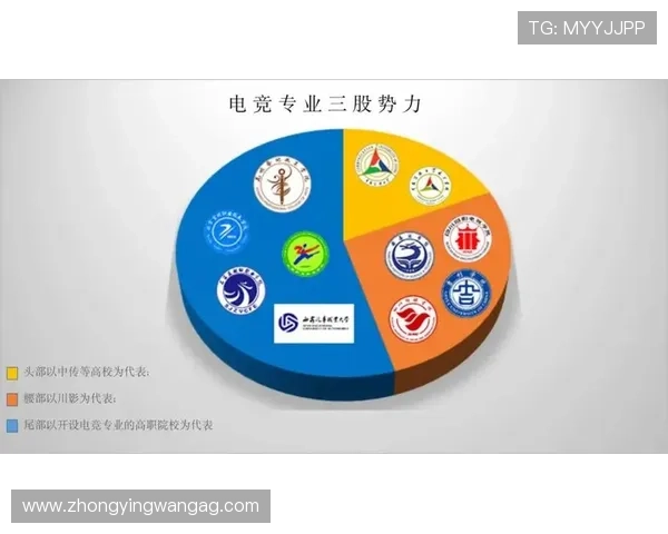 kok电竞体育真人：全面解析最新电竞赛事直播平台的优势与特色